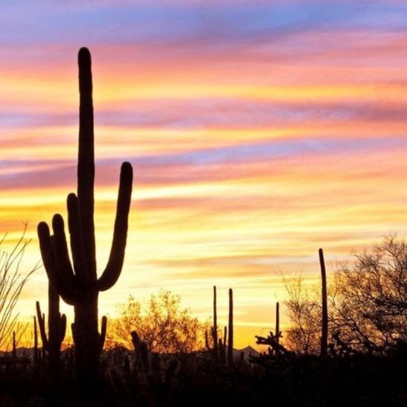 arizonad